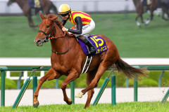 【競馬予想】[5]第87回優駿牝馬(オークス)(GⅠ) /2026
