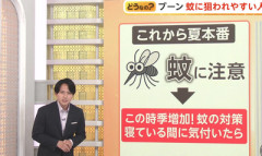 【警告】専門家『”これ”やってる人、蚊に刺されまくります』