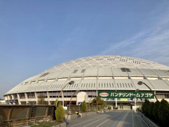 【謎】中日ドラゴンズのバンテリンドームが連日大盛況の理由🤔