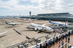 Suicaのペンギンさん、JR東日本から羽田空港に転職