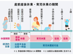 【悲報】新入社員女さん、結婚→産休→育休→産休→以下繰り返し
