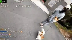 【動画】配信者さん、犬の散歩中の女性に背後から突然「ワンちゃん可愛いですよねぇ」と声をかける→結果ｗｗｗｗｗｗｗｗｗ