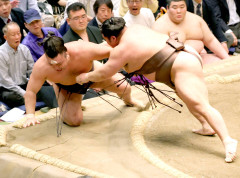 【衝撃】大相撲夏場所、千秋楽で最大6人の優勝決定戦もｗｗｗｗｗｗｗｗｗｗ