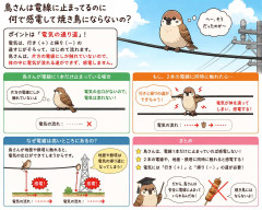 鳥さんは電線に止まってるのに何で感電して焼き鳥にならないの？