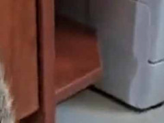 冷蔵庫の隣に狭い隙間があった。このぉおぉおぉぉ～！ → 必死にがんばる姿はこちらです…