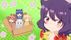 ワイ、一畳間まんきつ暮らし！を視聴開始……！