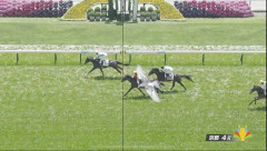 【競馬】5.24 京都4R 3歳未勝利 3着争いに意外な乱入者がｗｗｗ「なんかいて草」