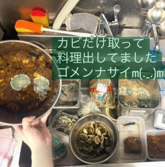 「カビだけ取って料理出してた」飲食店閉店後の暴露投稿が波紋　品川区「食品衛生法に抵触する可能性」