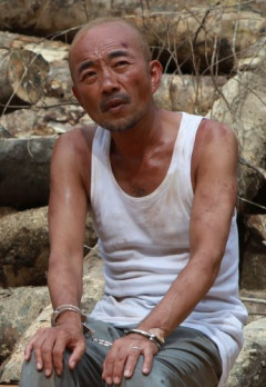 【爆笑】大河「豊臣兄弟！」松永久秀の爆死回、平蜘蛛格付けチェックになってしまう