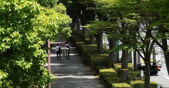 日本政府「街路樹の管理めんどい」→50万本以上の街路樹が消滅　日本の夏が暑い理由