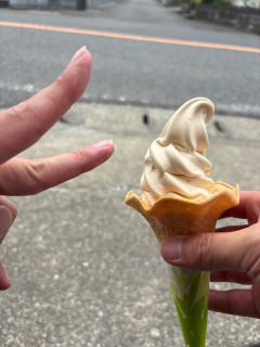 観光地で1人でソフトクリーム食べてるおじさんですけど