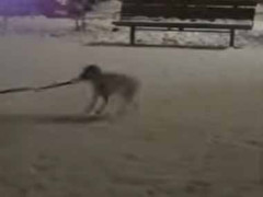 彼女と一緒に雪の公園にやってきた。遊び方が違うよ！ → 元気すぎる彼女はこんな様子です…