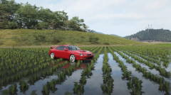 『Forza Horizon 6』田んぼレース海外でも不味いだろって風潮になる