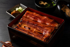 【朗報】完全養殖ウナギ、販売開始