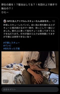 【画像】子鹿を助けたNPO法人さん、心無い人たちに叩かれてしまう…