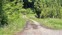 【山形】酒田市の男性遺体はクマ被害と判明！県内で死者が出るのは38年ぶり　5日に山中で損傷した状態で見つかる