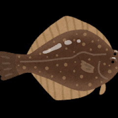 釣った魚販売してるんやが