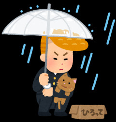 不良が猫を拾うと好感度が上がるのはなぜ？