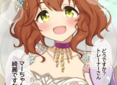 【ウマ娘】こんなお嫁さんが欲しかった…