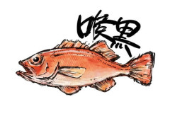 近畿大がノドグロの完全養殖に成功　10年の挫折と能登半島地震を乗り越え実現