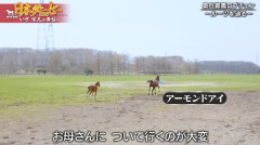 【ウマ娘】ママになって欲しいお牝馬ウマ娘