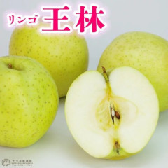 【動画】王林さん、裸族すぎて自宅で作業員を出迎えてしまう