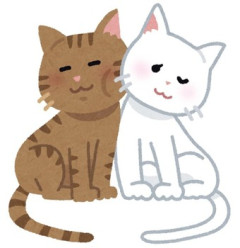 うちの猫は日本語がわかるらしい。例えば、空模様が怪しいときに外に出ようとした猫に、「雨が降りそうだからやめときなさい」と言うと、くるっと引き返してくるんだ。