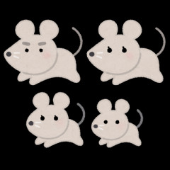 家にねずみが出た！！