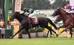 肘打ちに左トモ外傷のディープモンスター池江師がマクドナルド騎手に激怒
