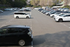 トナラーはなぜガラガラの駐車場でわざわざ隣に止めてくるのか