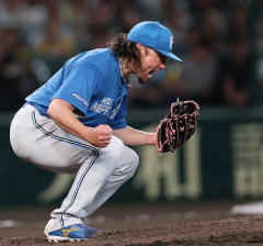 伊藤大海、完全復活ｗｗｗｗｗｗｗｗｗｗｗｗｗｗ