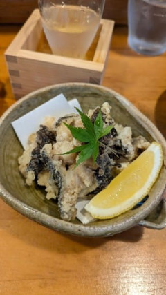 【画像】土佐で呑んでる
