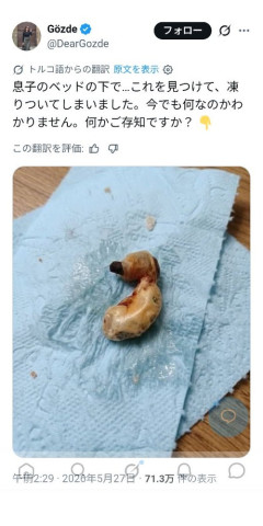 【画像】母親「息子のベッドの下でこれ見つけた」→謎すぎる物体にネット騒然ｗｗｗｗ