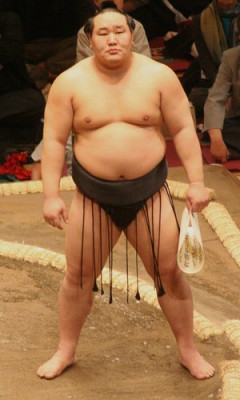 【困惑】朝青龍さん「モンゴル家庭式として、親に対する残虐行為に揺せない」