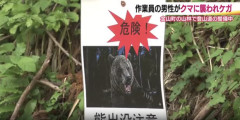 【福島・金山町玉梨】「熊に襲われた」山で作業中の男性が腕や足にケガ