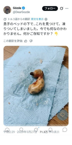 Xママさん「息子のベッドの下からなんかヤバそうな物体が出てきたッ！！」