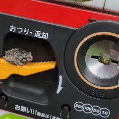 【画像】夏の田舎の自販機、ガチでレベルが違ったｗｗｗｗ