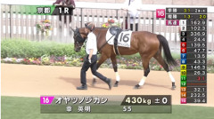 【日曜京都1R】オヤツノジカン＆幸騎手がｷﾀ━━━━(ﾟ∀ﾟ)━━━━!!