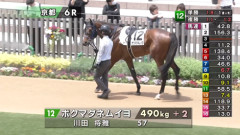 【日曜京都6R】ボクマダネムイヨ＆川田騎手がｷﾀ━━━━(ﾟ∀ﾟ)━━━━!!