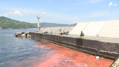 駿河湾で赤潮が数十年ぶりの大規模拡大　観光客「明太子のにおいがする」