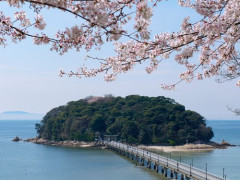 【困惑】なんで韓国さんに竹島あげたら駄目なの？・・・・・・・・・