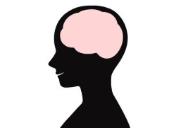 【画像】女性が男性を視認した時の脳内フローチャートがコチラｗｗｗｗｗｗｗｗｗｗｗｗｗｗｗｗ