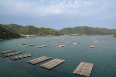 「岡山」って魚が美味しい大都会？