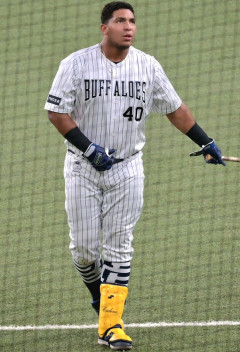 ヤクルト　元オリ西武のセデーニョ獲得