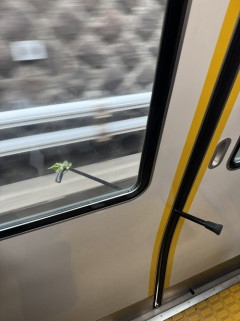 【悲報】ジジイ「杖でドア止めれば電車乗れるやろｗ」→結果ｗｗｗｗ