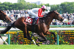 【競馬予想】[4]第93回東京優駿(日本ダービー)(GⅠ) /2026