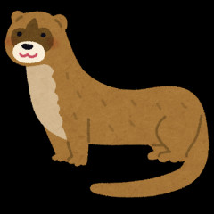【会いたい】ニホンカワウソが絶滅したけど、動物園とか水族館にいるじゃん。と思って調べたらコツメカワウソだった