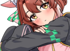 【ウマ娘】このウマ娘について知ってることを話せ