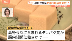 【朗報】高野豆腐、肥満を抑制する効果があることが判明