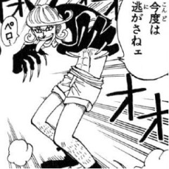 ワンピースのシャムwww